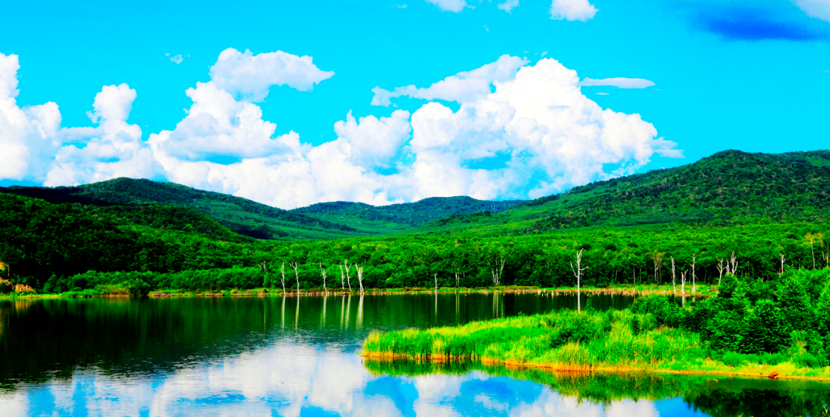 国土空间规划:筑牢东北森林带生态空间-东北网旅游-东北网